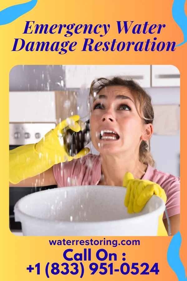 Emergency Water Damage Restoration in Suissevale, NH