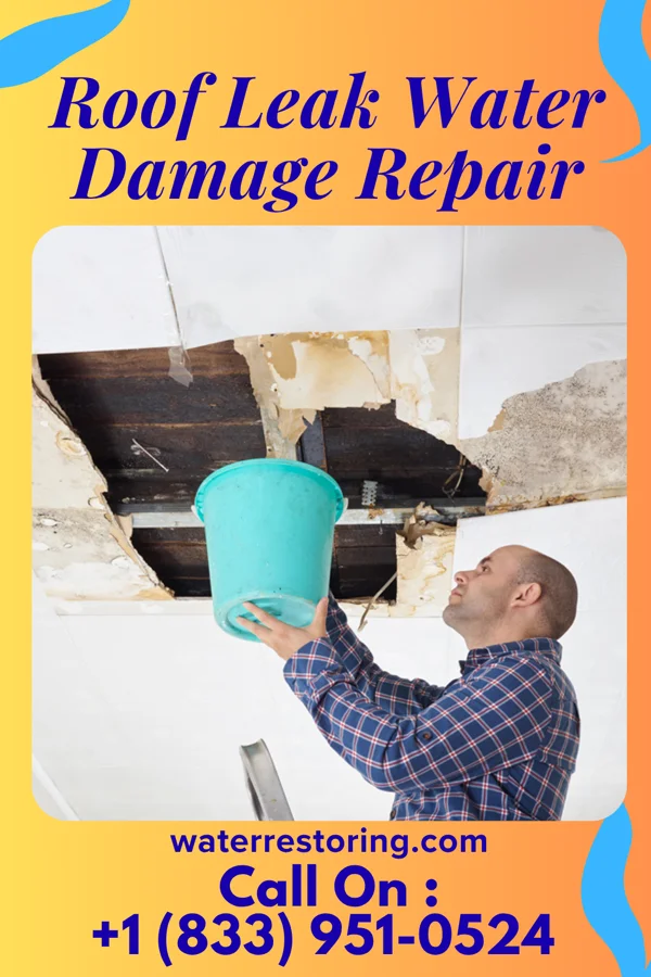 Roof Leak Water Damage Repair in Suissevale, NH