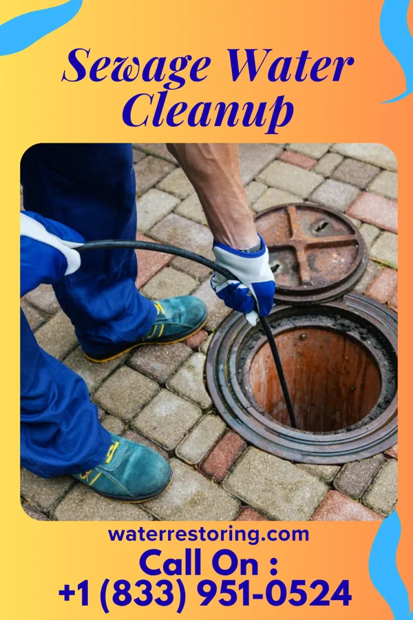 Sewage Water Cleanup in Suissevale, NH