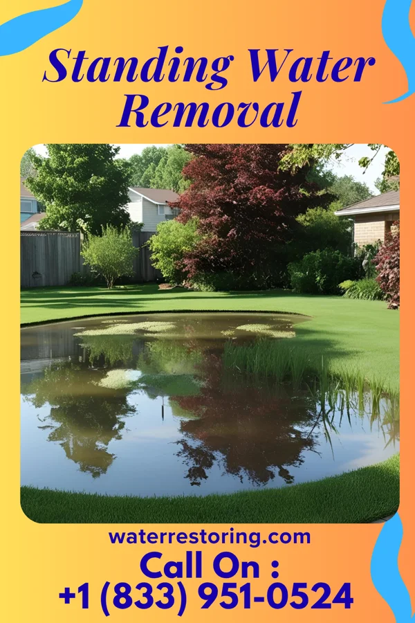 Standing Water Removal in Suissevale, NH